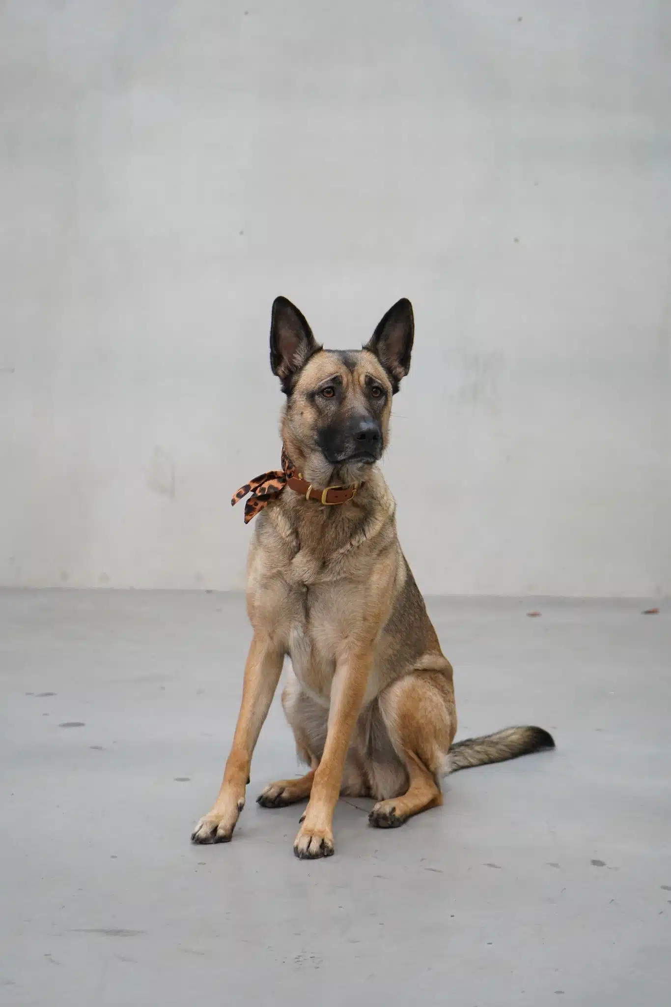 Nala